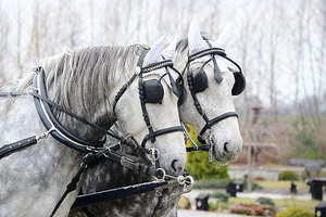 结婚买首饰有什么讲究 请问结婚一般要买哪些首饰？谢谢！