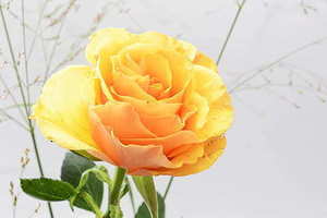 结婚的衣服穿什么颜色最好看 结婚时候穿的衣服要什么颜色好呢？