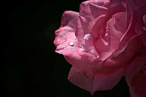 结婚纪念天然钻石