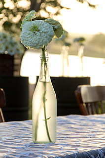 饭店订桌要钱吗