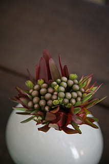 结婚典礼女方代表的最佳致辞 女方代表婚礼致辞感人