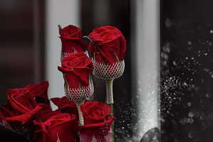 在哪里拍婚纱照 大家拍婚纱照都是去哪拍的？