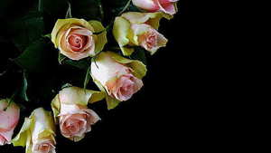 结婚时里面穿的红兜 结婚穿红肚兜的意思是什么