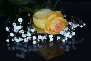 芈月被动怎么触发 芈月技能什么时候 芈月被动技能怎么触发