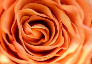 结婚年月竖版格式 竖版结婚请柬日期怎么写