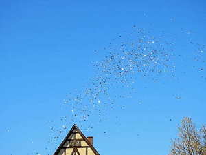 婚礼藏鞋必须要什么颜色