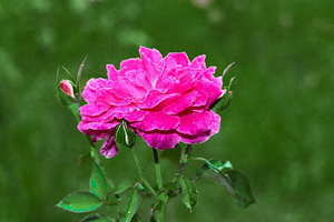 娘家办酒席穿的衣服