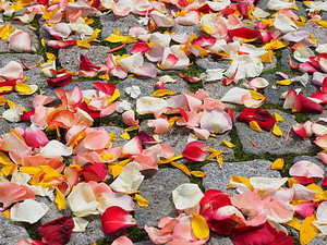 婚宴大厅怎么样 婚宴大厅应该如何布置才更完美