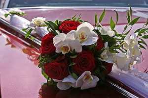 夏天伴郎穿polo 当伴郎穿polo衫和牛仔裤可以吗