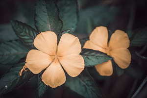 关于婚礼的歌曲有哪些 婚礼上能用的歌曲都有哪些啊？