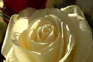 邀请函夫妻两个人怎么写 邀请函夫妻两个人怎么写_问一问