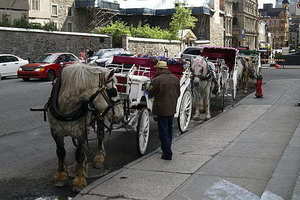 喜糖里的烟盒子是单独买吗 求助各位姐妹,喜糖盒里面到底要不要放烟