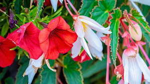 写在红包上的祝福语 写在红包上的结婚祝福语