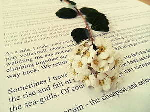 4000以内送父母的礼物 4000给父母各一个礼物，求建议？