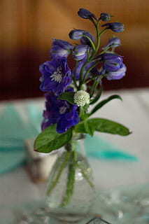 婚礼主持人提问搞笑小问题