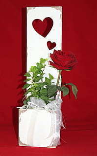 结婚证照片风格 结婚证上的照片怎么拍才会好看?