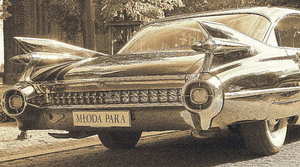 婚车用鲜花大概要多钱 做一辆婚车（鲜花）要多少钱啊，一般？