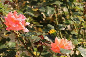 结婚送好贴的写法 结婚请贴写法!最好能附带一图片谢了