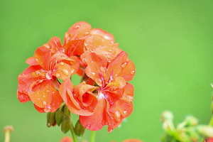 品质口号品质宣言 品质宣言怎么写