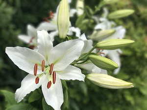 八字合婚65分怎么样 八字合婚得65分能在一起么?