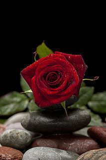 编辑收到的短信 如何修改接收到的短信?