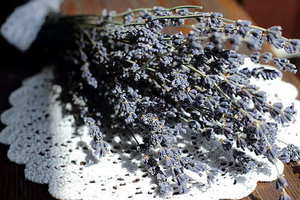 儿媳生日祝福语大全 儿媳生日祝福语大全