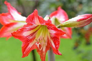 结婚证丢了如何办理离婚手续 结婚证丢了怎么办理离婚手续