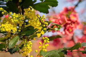 农村哥结婚了怎么祝福 我哥结婚了怎么祝福语