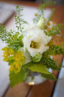 粤语歌一步一天是什么歌