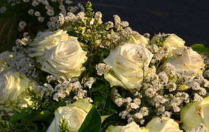 手拧礼炮礼花多少钱 礼花弹多少钱？