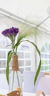 用彩带装饰天花板 装饰在天花板上的彩条叫什么