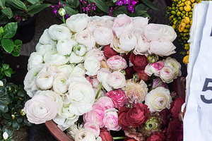 给长辈送请帖的时候说什么 结婚给人发请帖时应该说什么