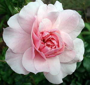 汉式婚礼背景 汉式婚礼的背景曲