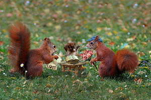 咚咚咚开头的英文歌曲 咚咚咚咚 一首英文歌的开头