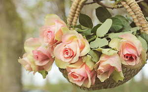 民政局婚检收费吗 民政局免费婚检流程