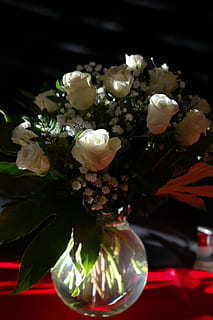 网络歌手有哪些人 网络歌手有哪些人?