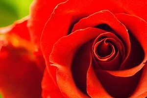 伴郎一般都是什么人做 什么人适合做伴郎伴娘?