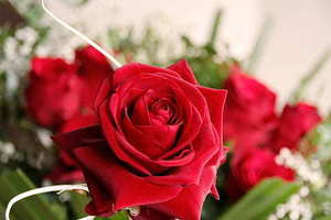 酒席喝什么白酒 宴席上喝什么白酒好?