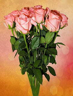 双方八字算结婚日子 如何根据两人生辰八字算结婚日子