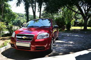 拍婚纱照指甲做什么颜色好看 拍婚纱照指甲做什么颜色好看