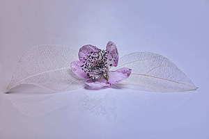 蓝色婚纱和什么西服搭配 婚纱的颜色怎么跟西装搭配