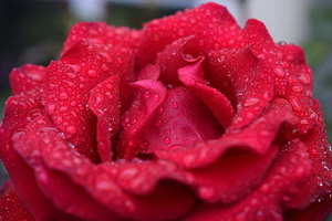 内容英文怎么说 “内容”的英文怎么说?