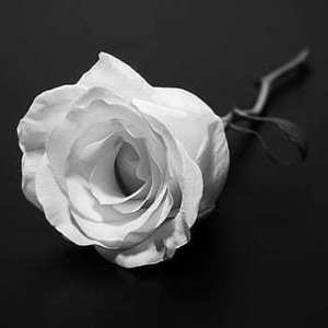 结婚证办理需要多少钱 去民政局办理结婚证要多少钱