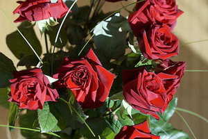 儿子结婚婆婆穿什么衣服合适 儿子结婚喜婆穿什么衣服最上档次？