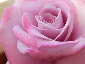 十渡风景区冬季旅游 冬天的十渡有啥好玩的？冬天去合适吗？