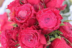 婚礼风格6个类型 婚礼风格的6个类型是什么？