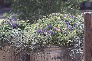 结婚几年是陶婚 结婚几年都是什么婚