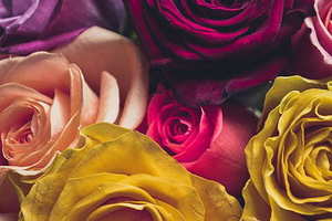 中式婚礼的婚服打扮 完整的中式婚礼新娘打扮包括哪些？