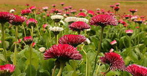 室内空间摄影报价 学摄影一般需要多少钱啊?