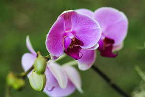 领结婚证衣服有要求吗 领结婚证需要穿什么衣服